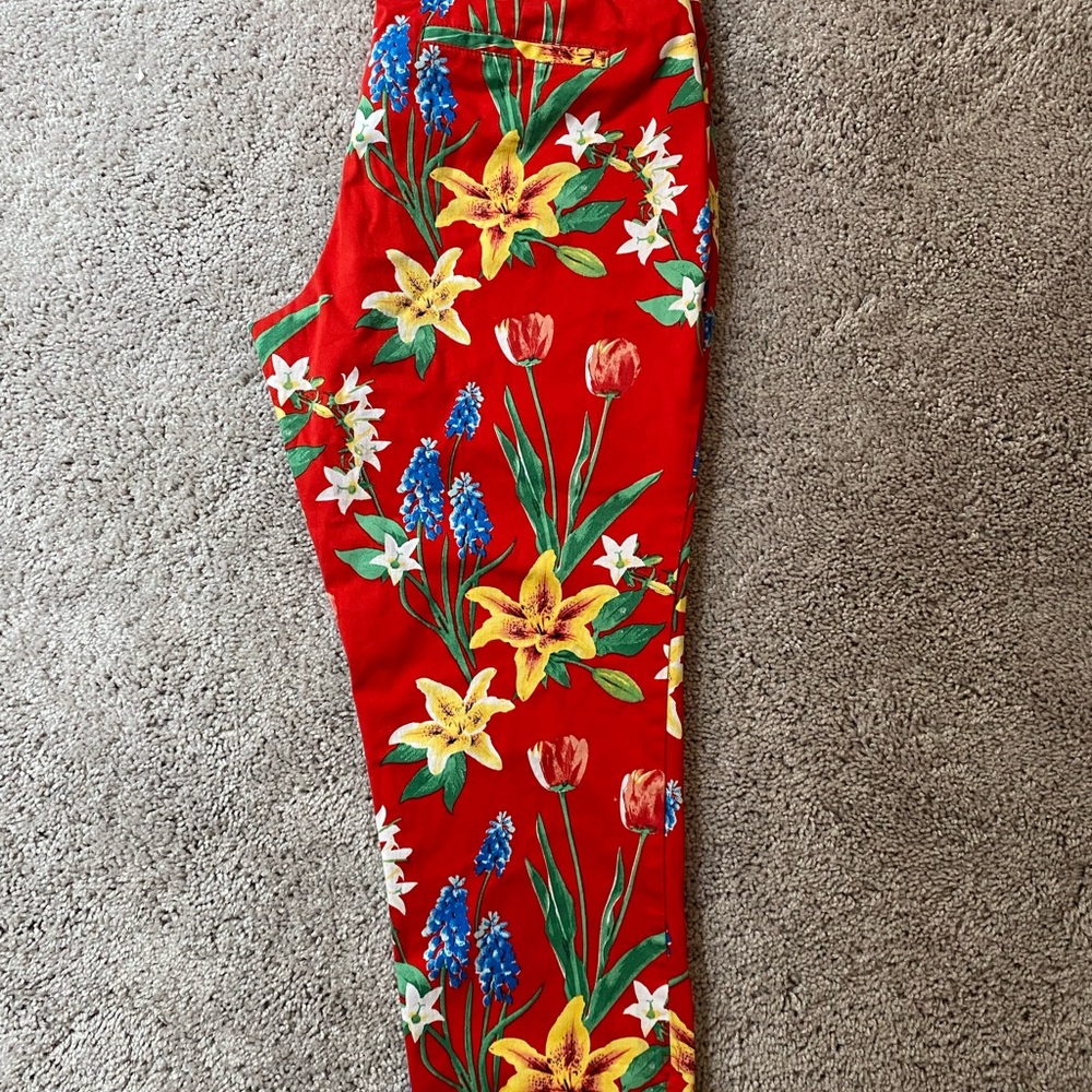 New York & Company Red Floral Capris